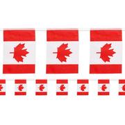 Canada Flag Canadian Small String Mini Flag Pennant Banner Decorations 
