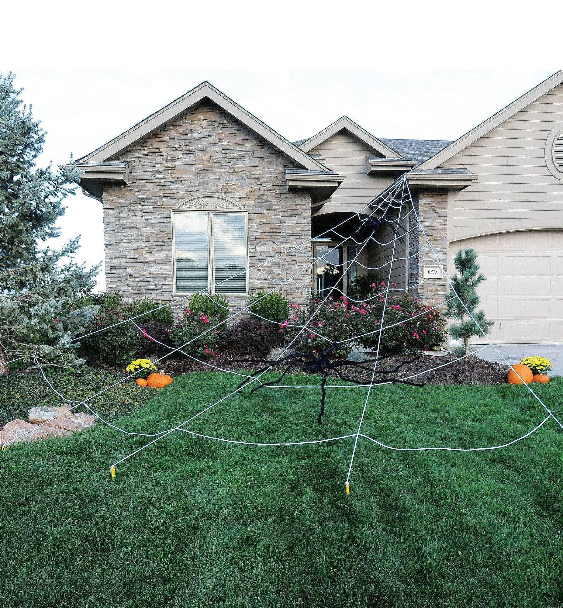 Giant outdoor shop spider web decoration