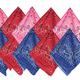 Western Bandanas 10ct