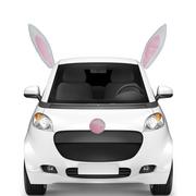 Easter Bunny Car Decorating Kit