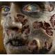 Zombie Rot Wound Prosthetics 4ct- Tinsley Transfers