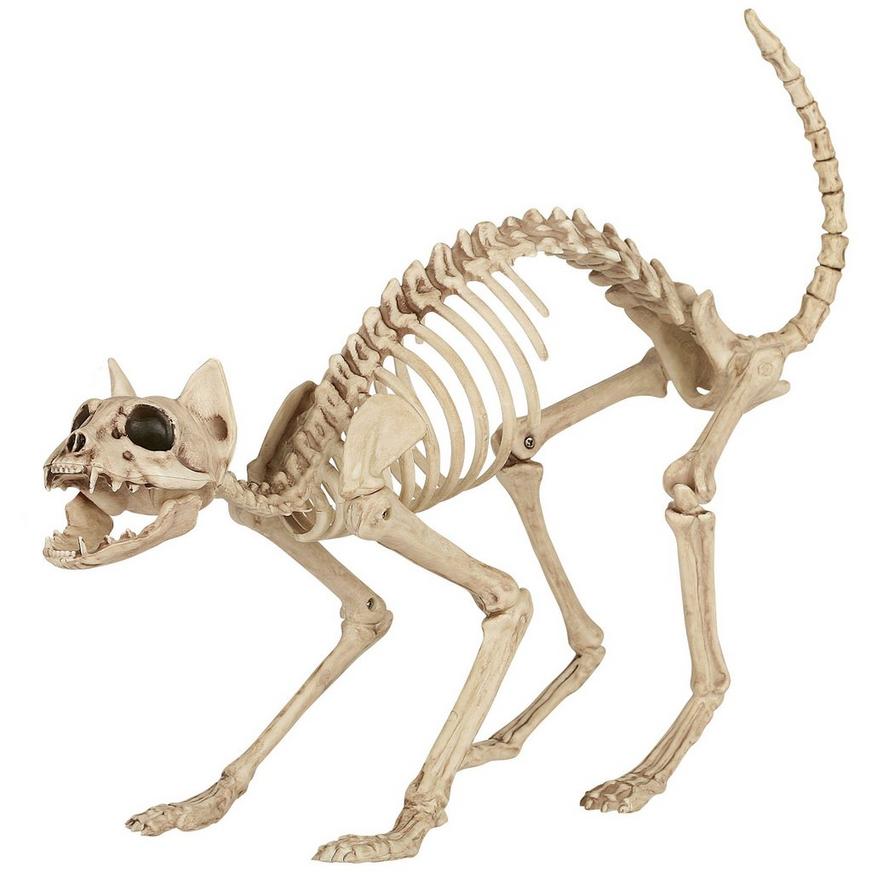 Skeleton Cat Decoration, 18in x 10.25in