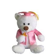 Pink & White Graduation Teddy Bear