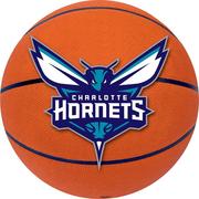 Charlotte Hornets Cutout