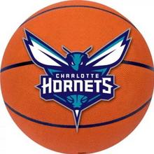NA Charlotte Hornets Party Supplies