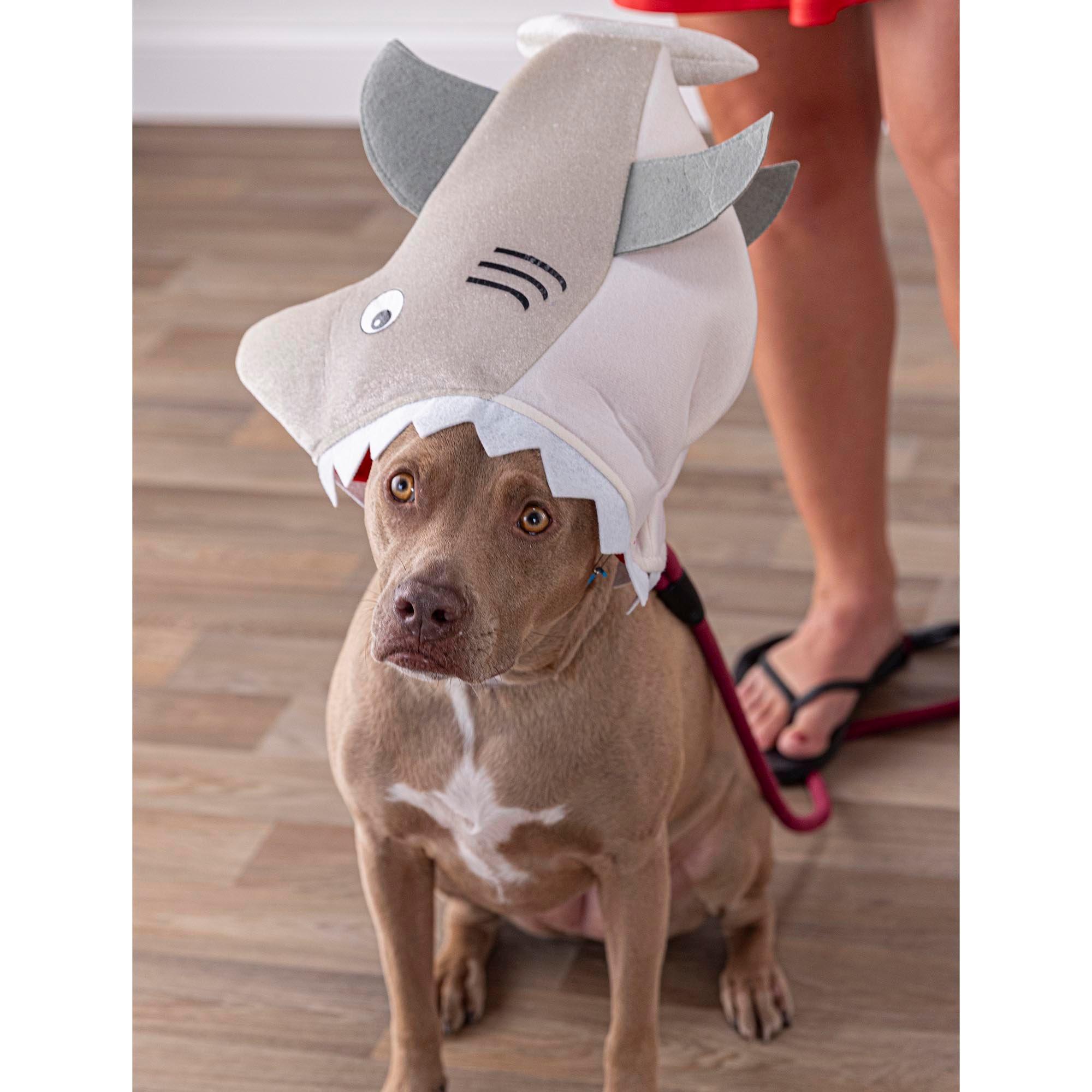 Biting Shark Hat