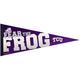 TCU Horned Frogs Pennant Flag