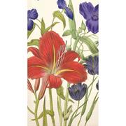 Tiger Lily Guest Towels 16ct