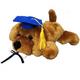 Blue Graduation Dog Plush