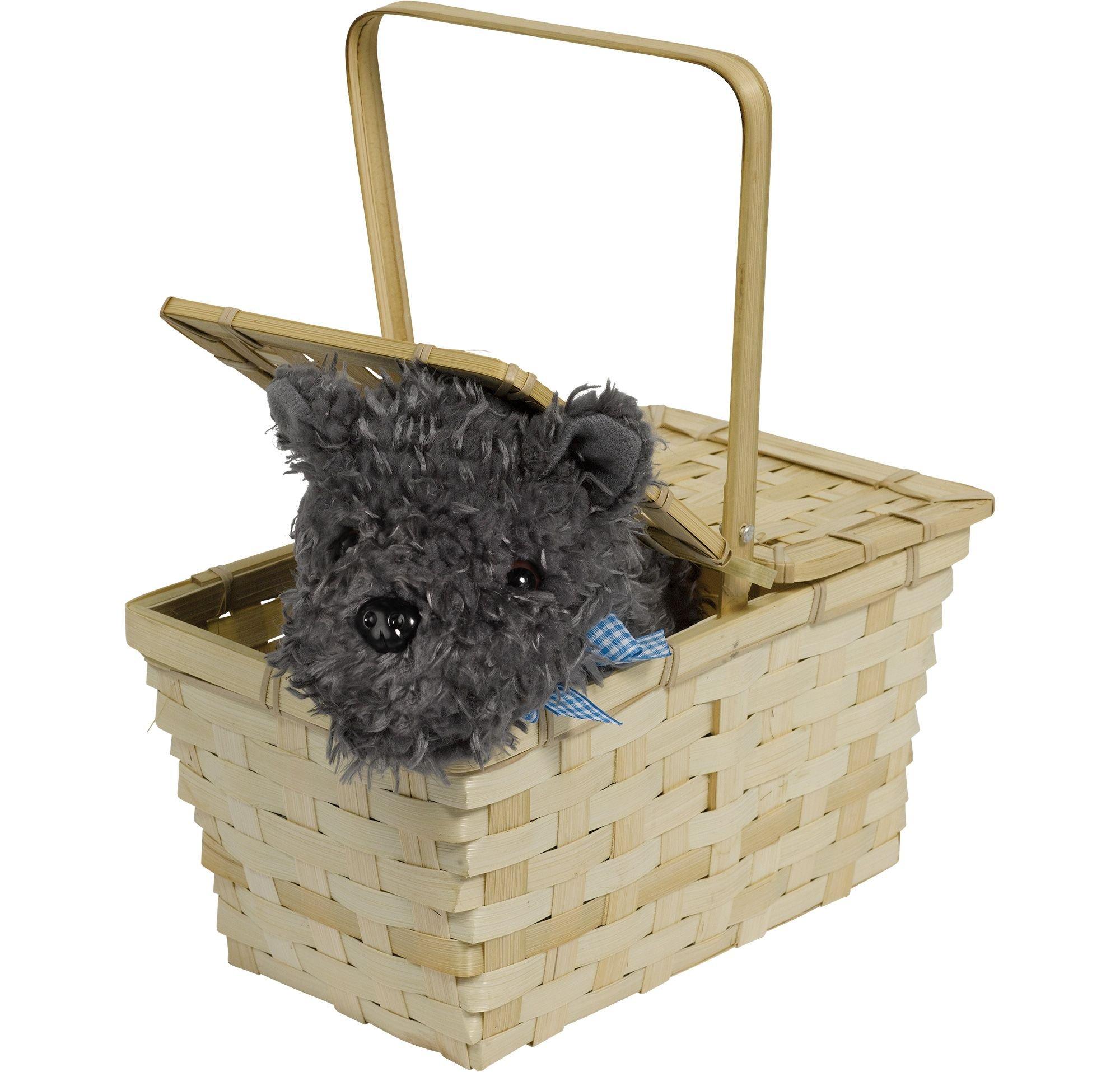 Picnic Basket With Toto 11in X 6in Wizard Of Oz Party City