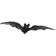 Hanging Vampire Bat
