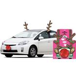 Sequin Rudolph Reindeer Car Decorating Kit 3pc