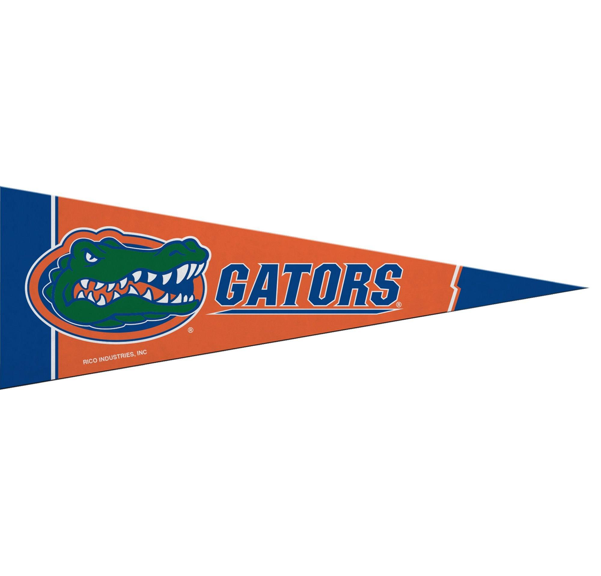 Small Florida Gators Pennant Flag