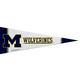 Small Michigan Wolverines Pennant Flag