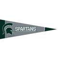 Small Michigan State Spartans Pennant Flag