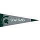 Small Michigan State Spartans Pennant Flag