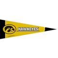 Small Iowa Hawkeyes Pennant Flag