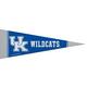 Small Kentucky Wildcats Pennant Flag