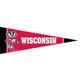 Small Wisconsin Badgers Pennant Flag