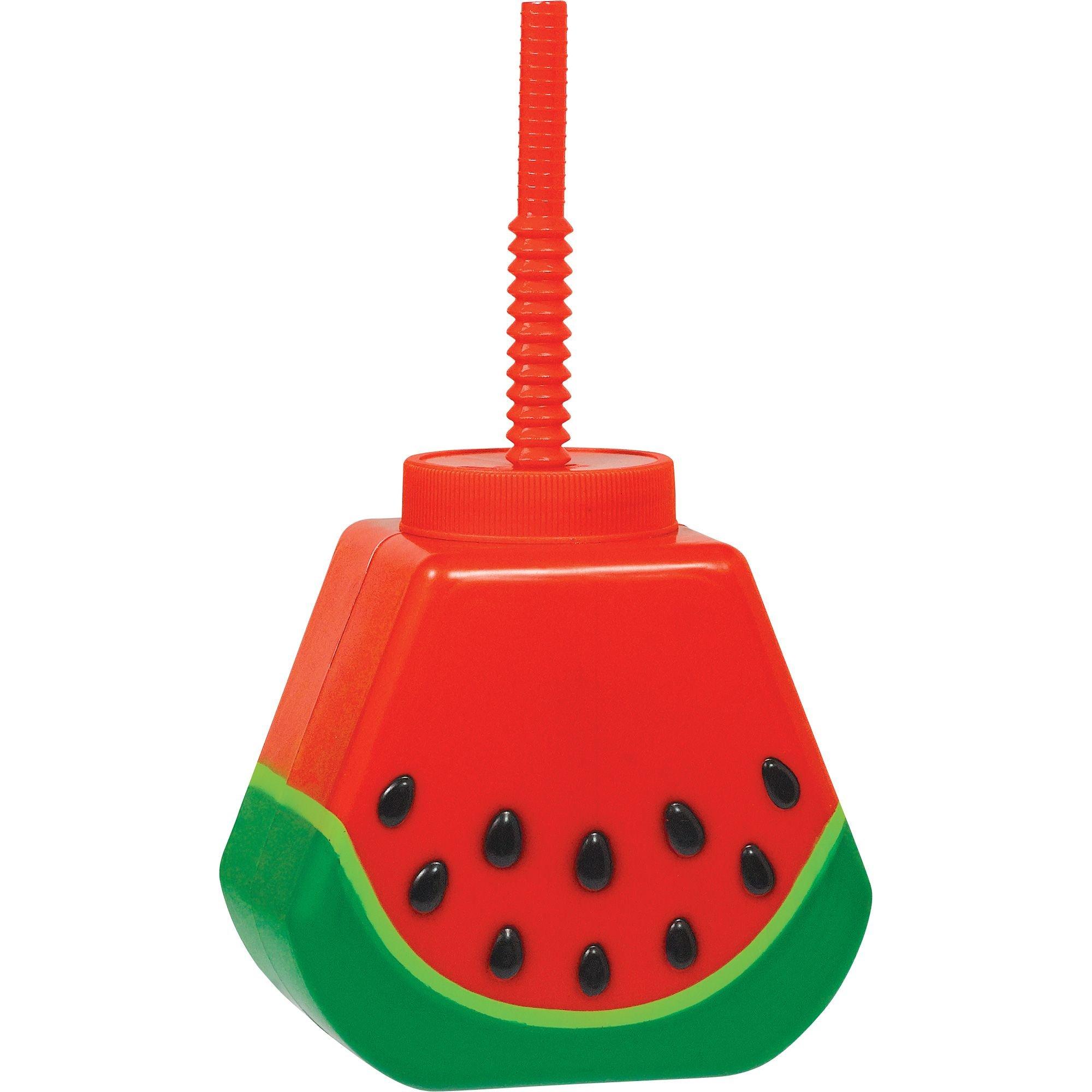 Watermelon Sippy Cup