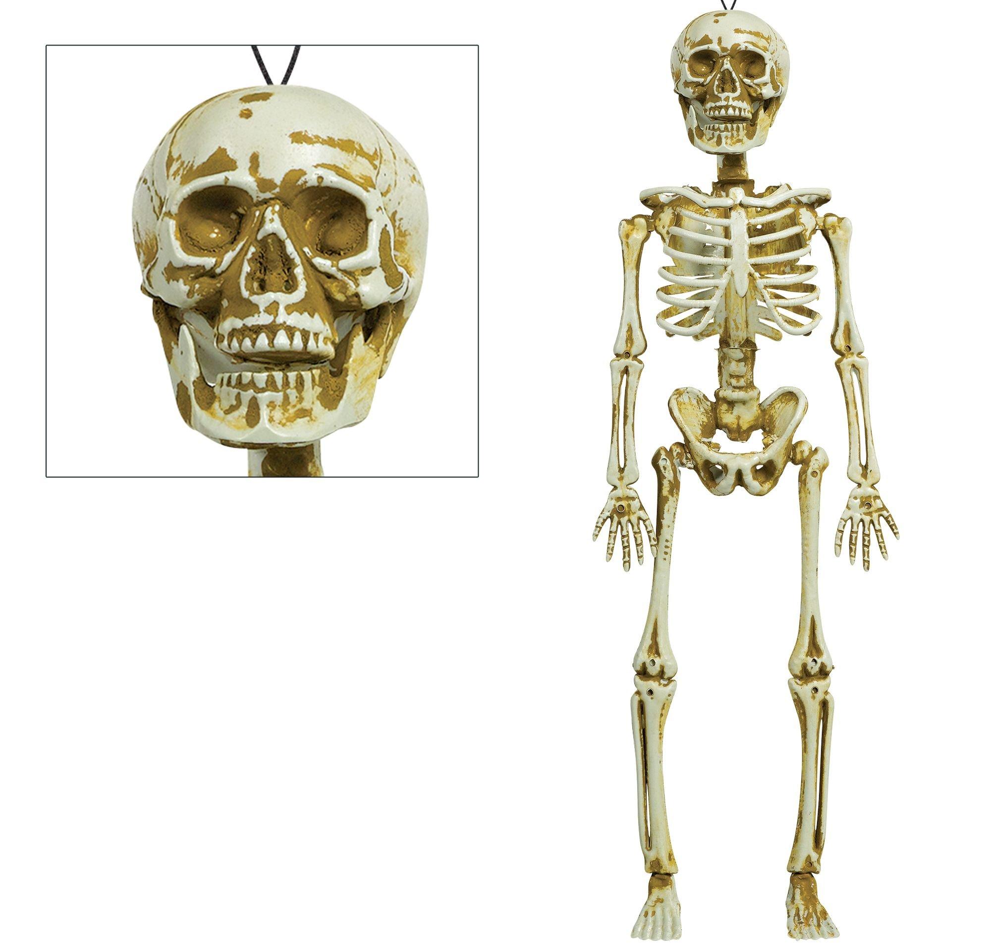 Skeleton Decoration