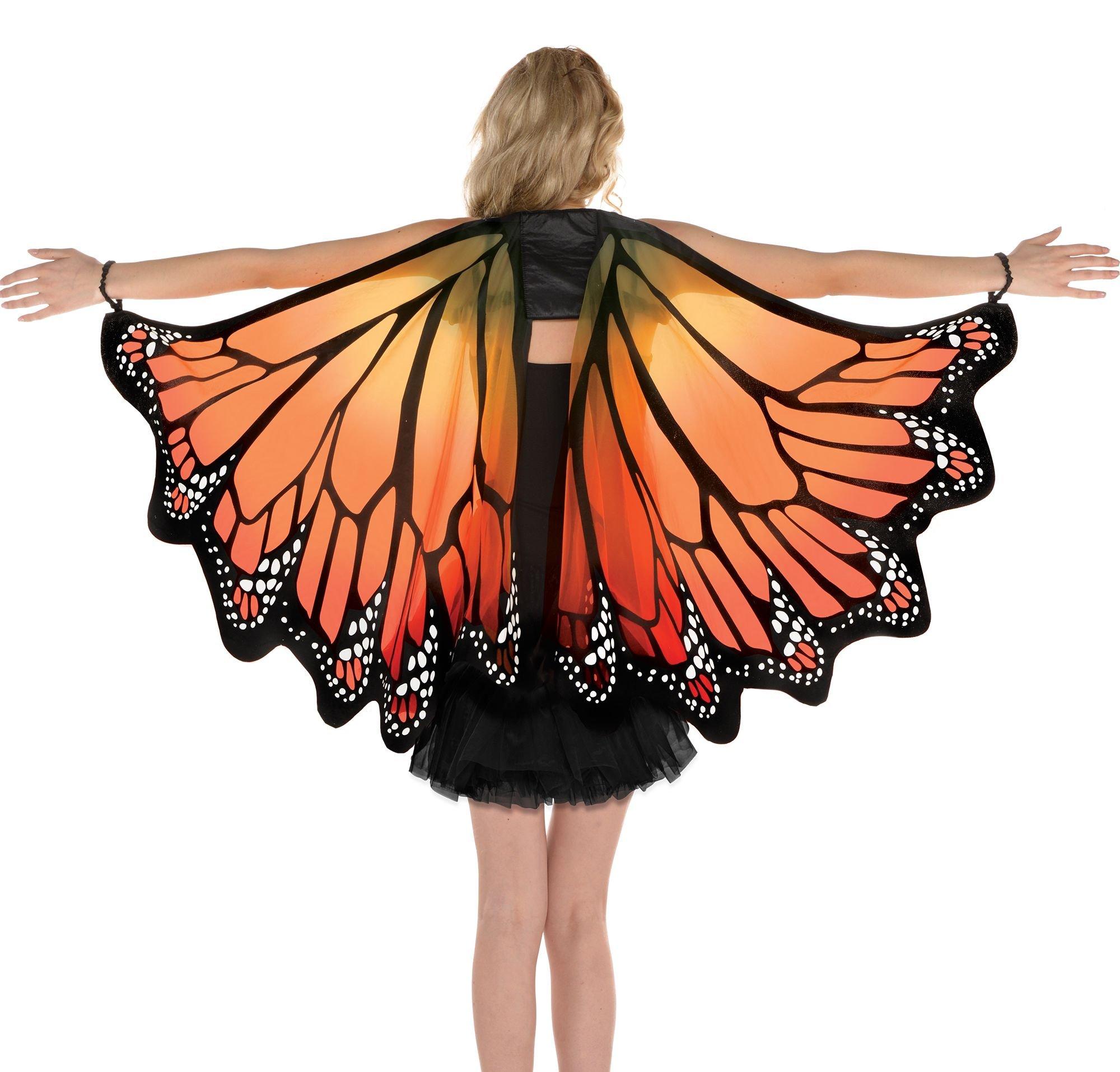 Adult Monarch Butterfly Wings