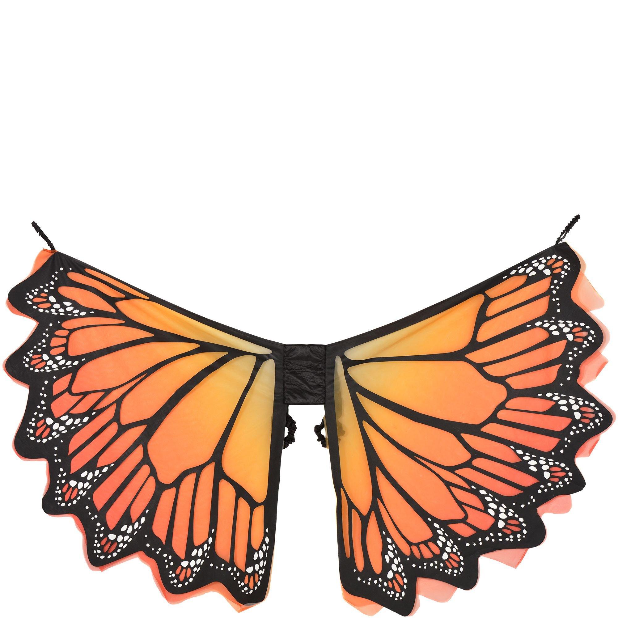 monarch butterfly wing