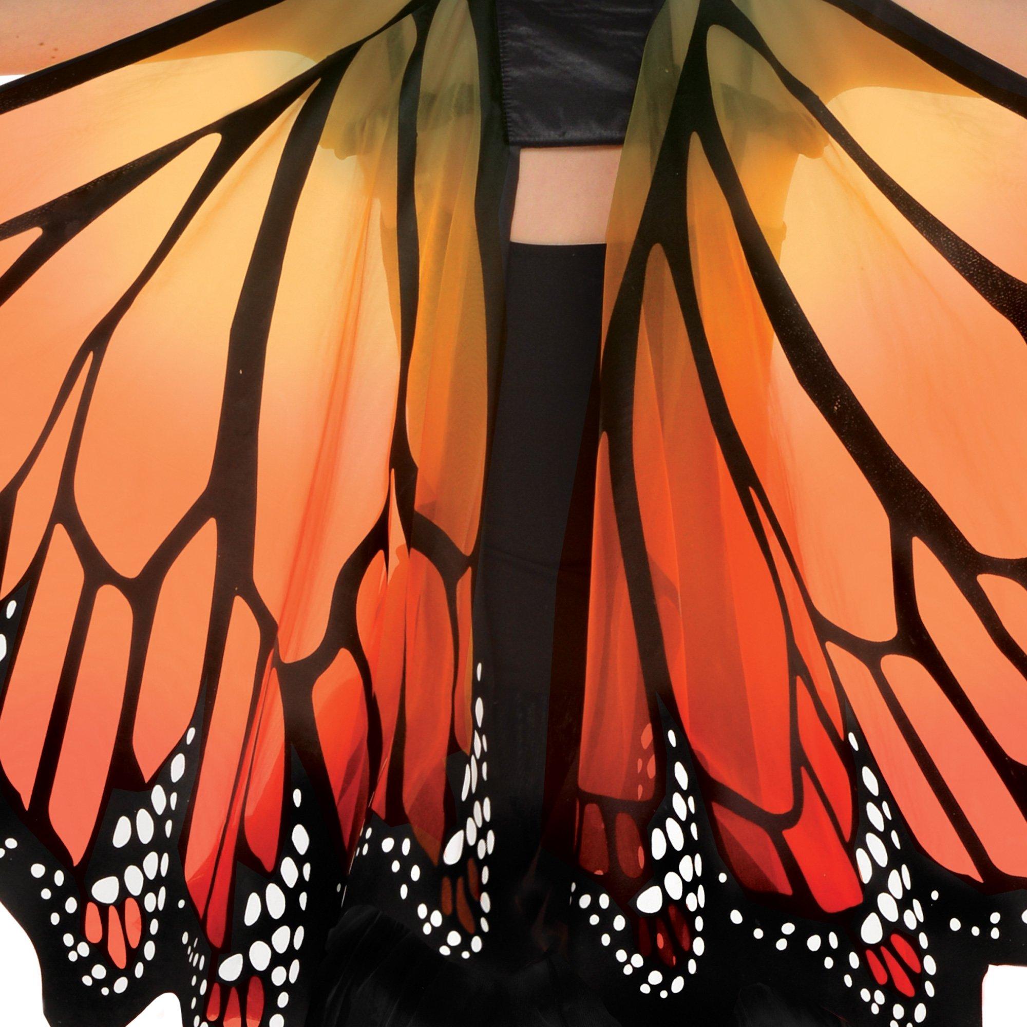 Adult Monarch Butterfly Wings