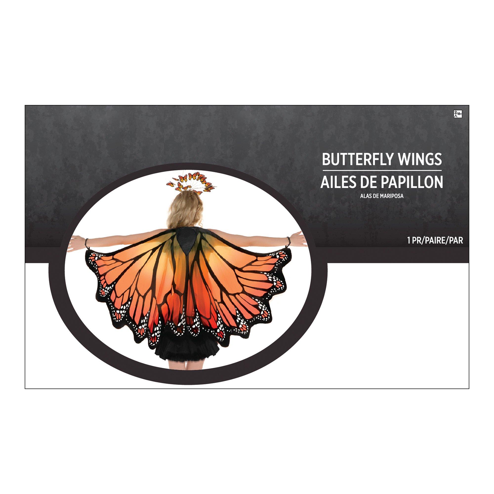 Adult Monarch Butterfly Wings