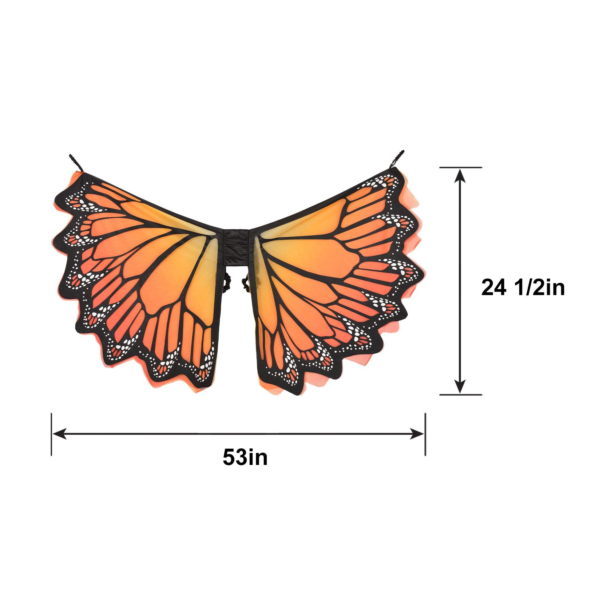 Adult Monarch Butterfly Wings