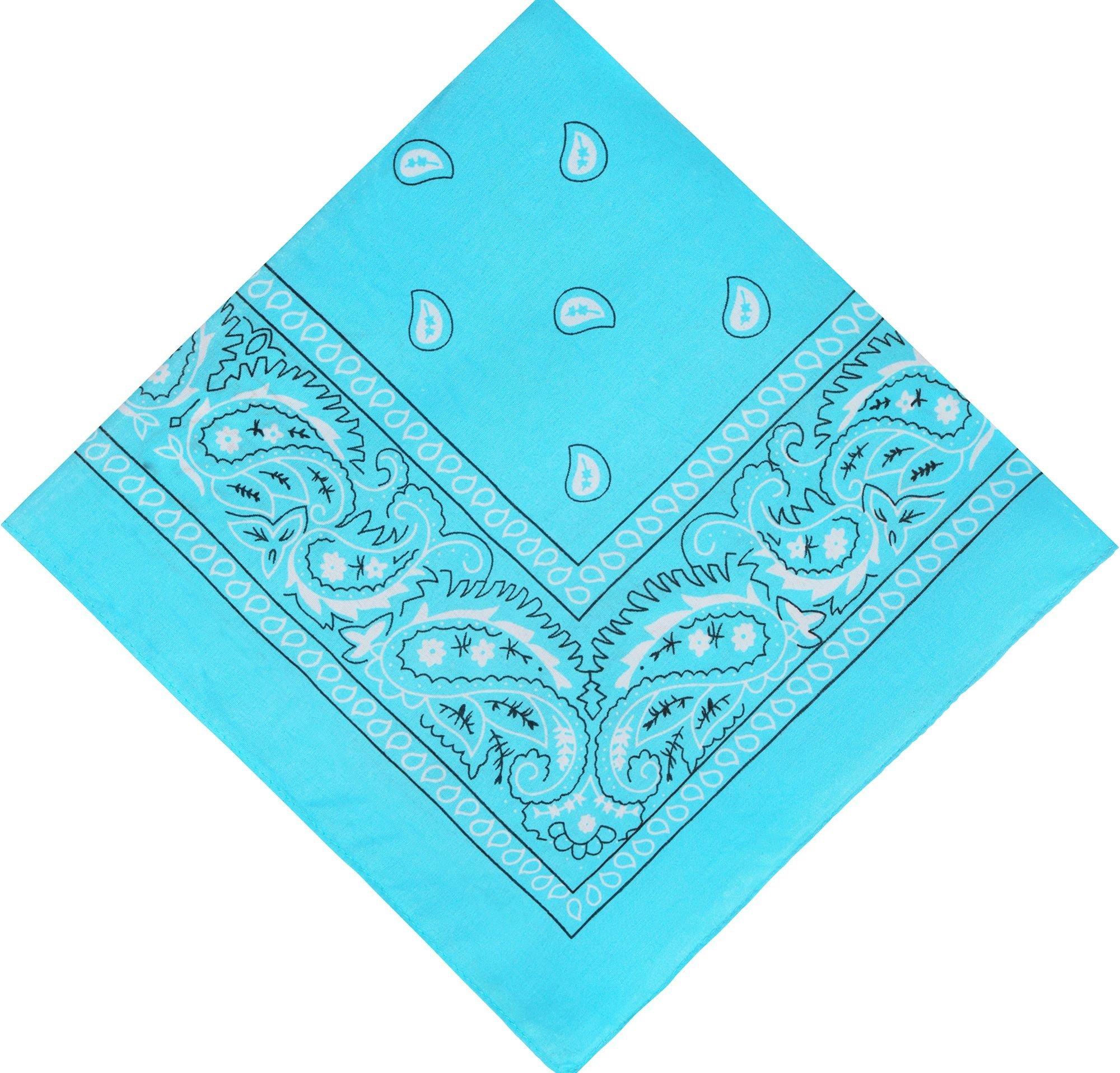 Turquoise Paisley Bandana, 20in x 20in