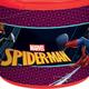 Spider-Man Webbed Wonder Favor Container