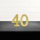 Glitter Gold 40 MDF Sign Set, 9in Numbers