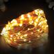 Copper Wire Warm White LED String Lights