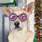 Mardi Gras Bead Sunglasses