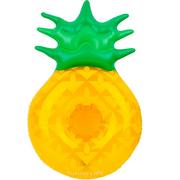 Pineapple & Watermelon Drink Floats 2ct