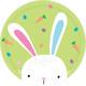Hello Bunny Lunch Plates 8ct