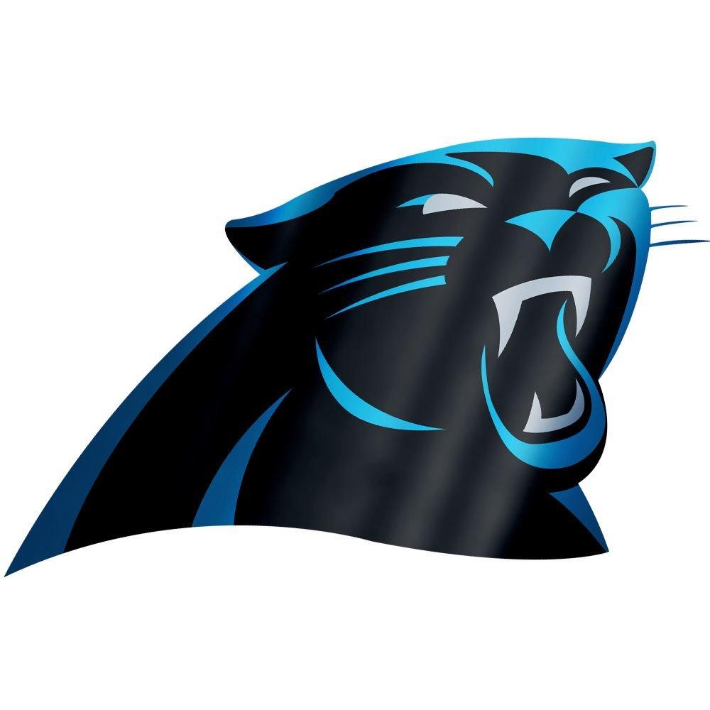 carolina panthers