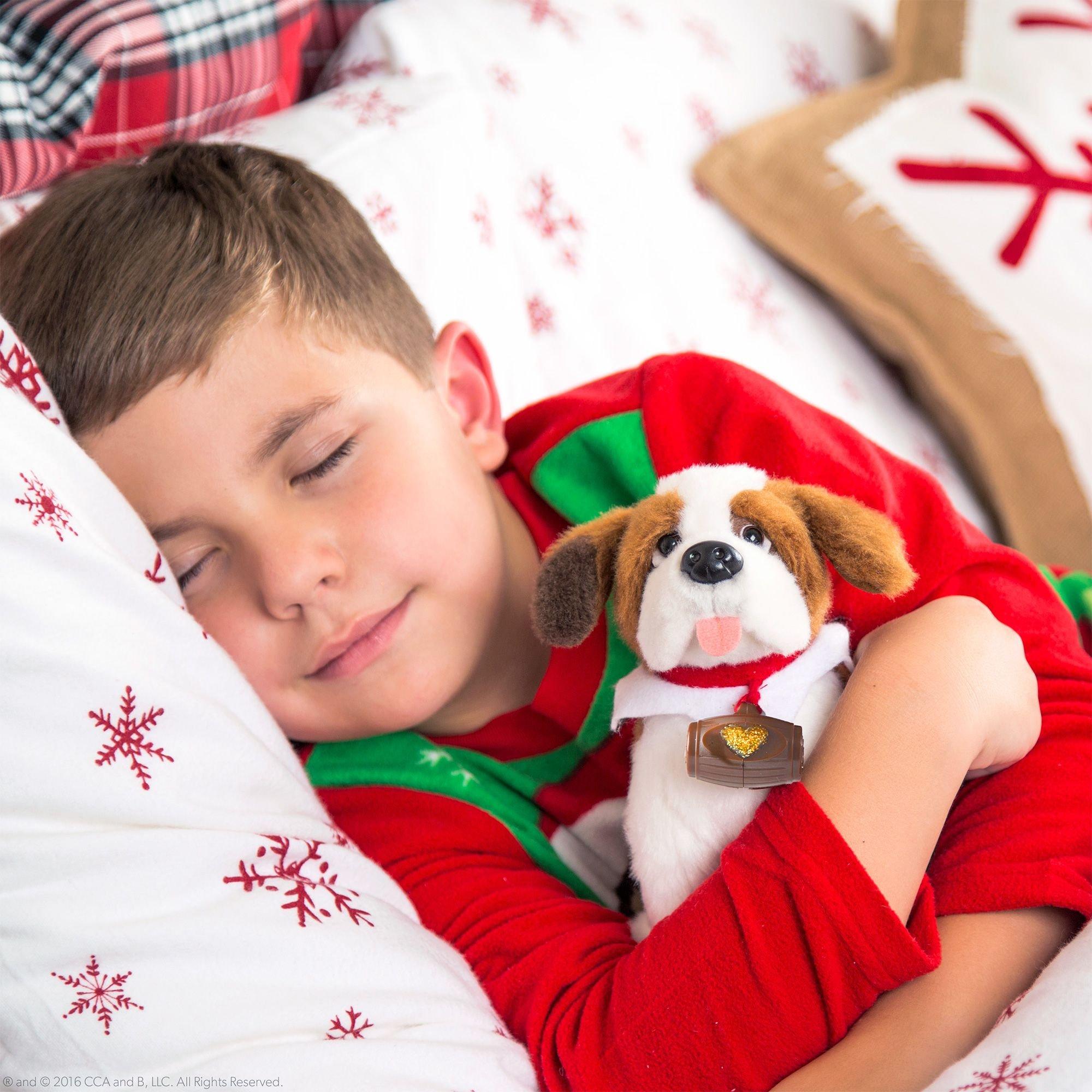 A Saint Bernard Tradition The Elf on the Shelf Pets 