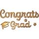Gold Congrats Grad Puffy Stickers 1 Sheet