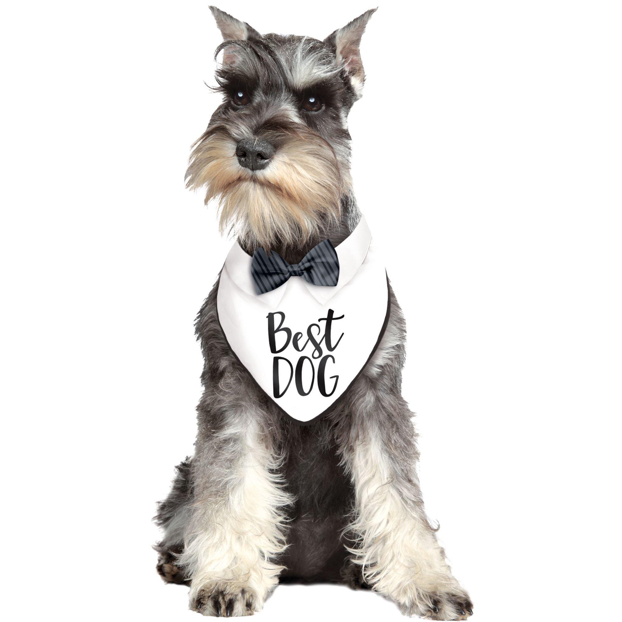 15 Best Custom/Personalized Dog Bandanas