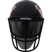 Houston Texans Helmet Fanmask