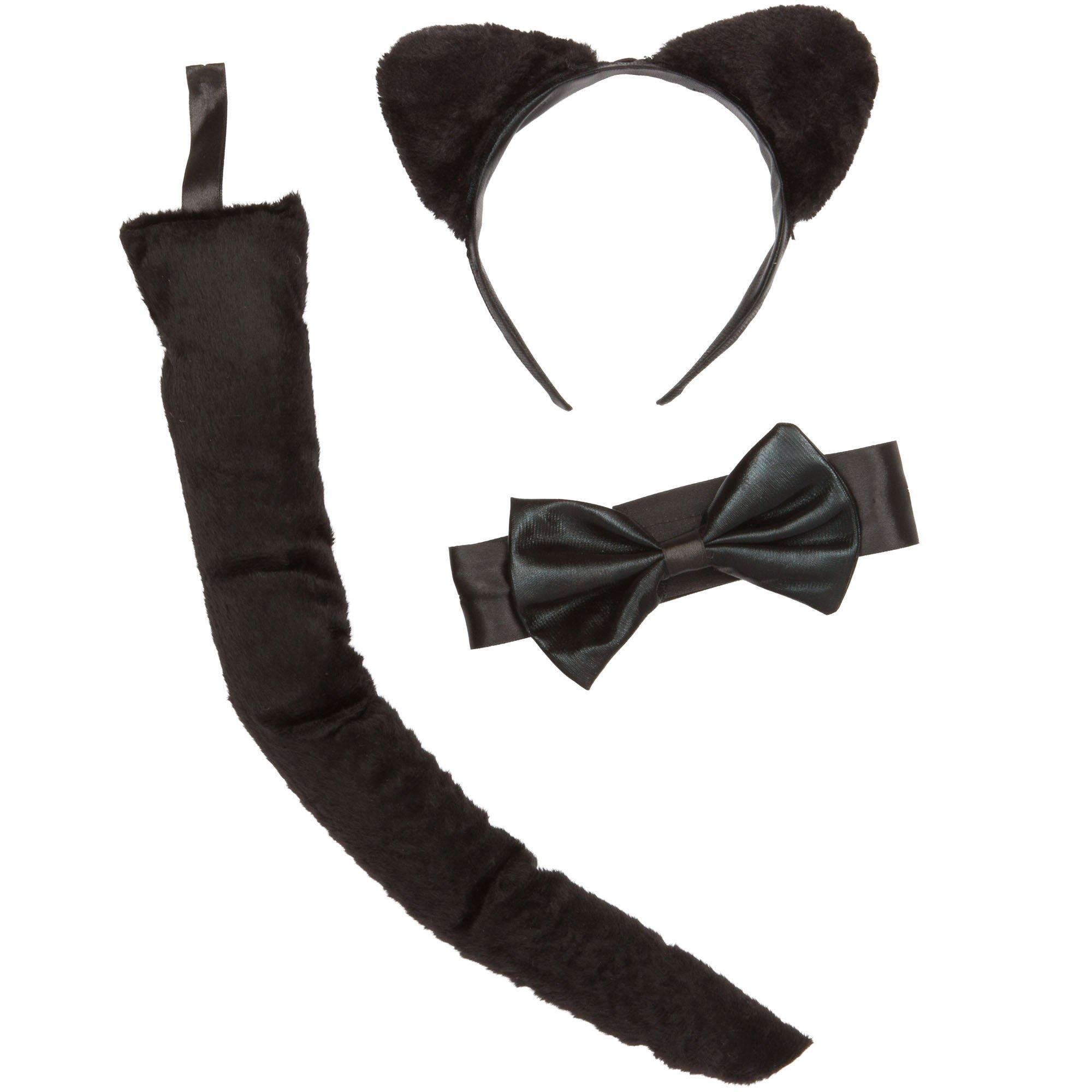 Adult Cat Accessory Kit