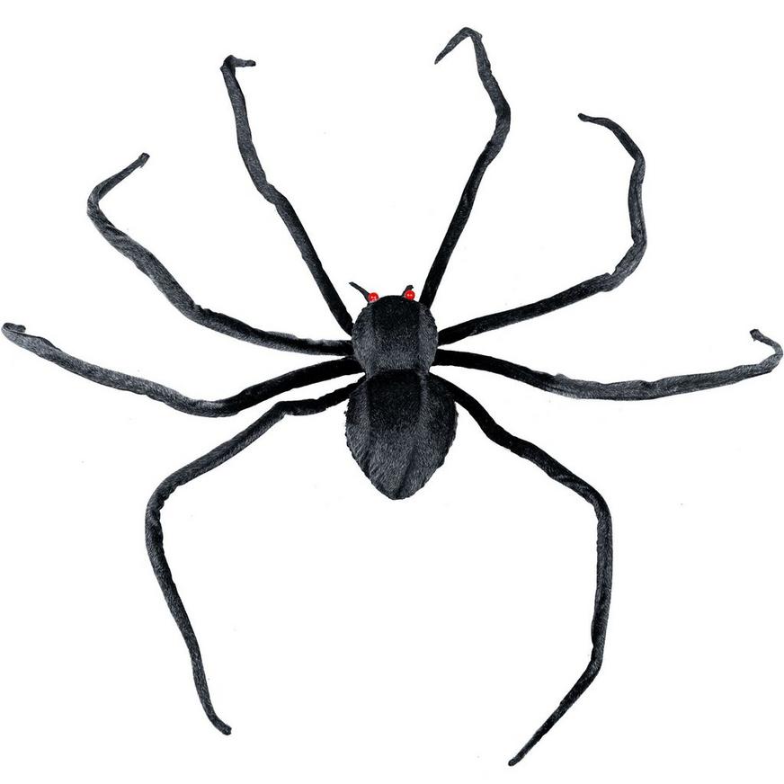 Realistic Black Halloween Spider