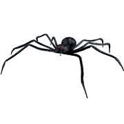 Realistic Black Halloween Spider