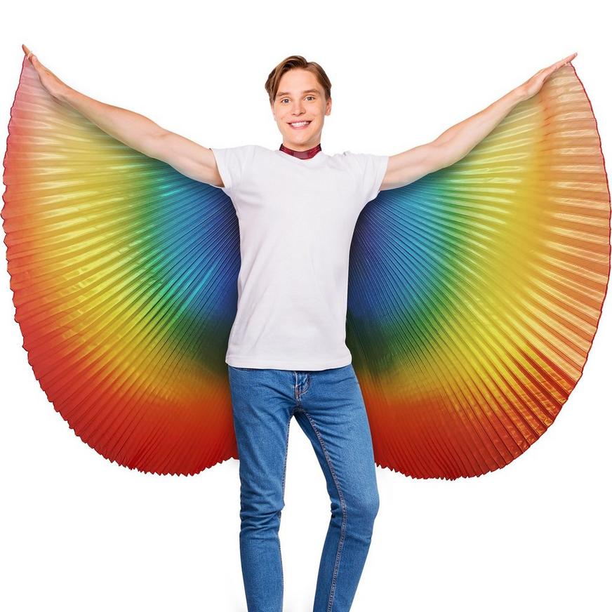 Iridescent Rainbow Wings