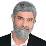 Short Gray Full-Face Beard