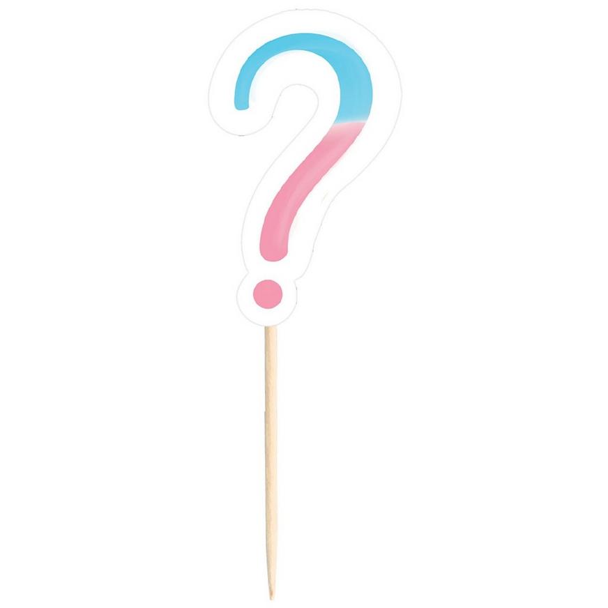 Pink & Blue Question Mark Party Picks, 24ct - Gender Reveal