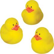 Mini Rubber Ducks 16ct