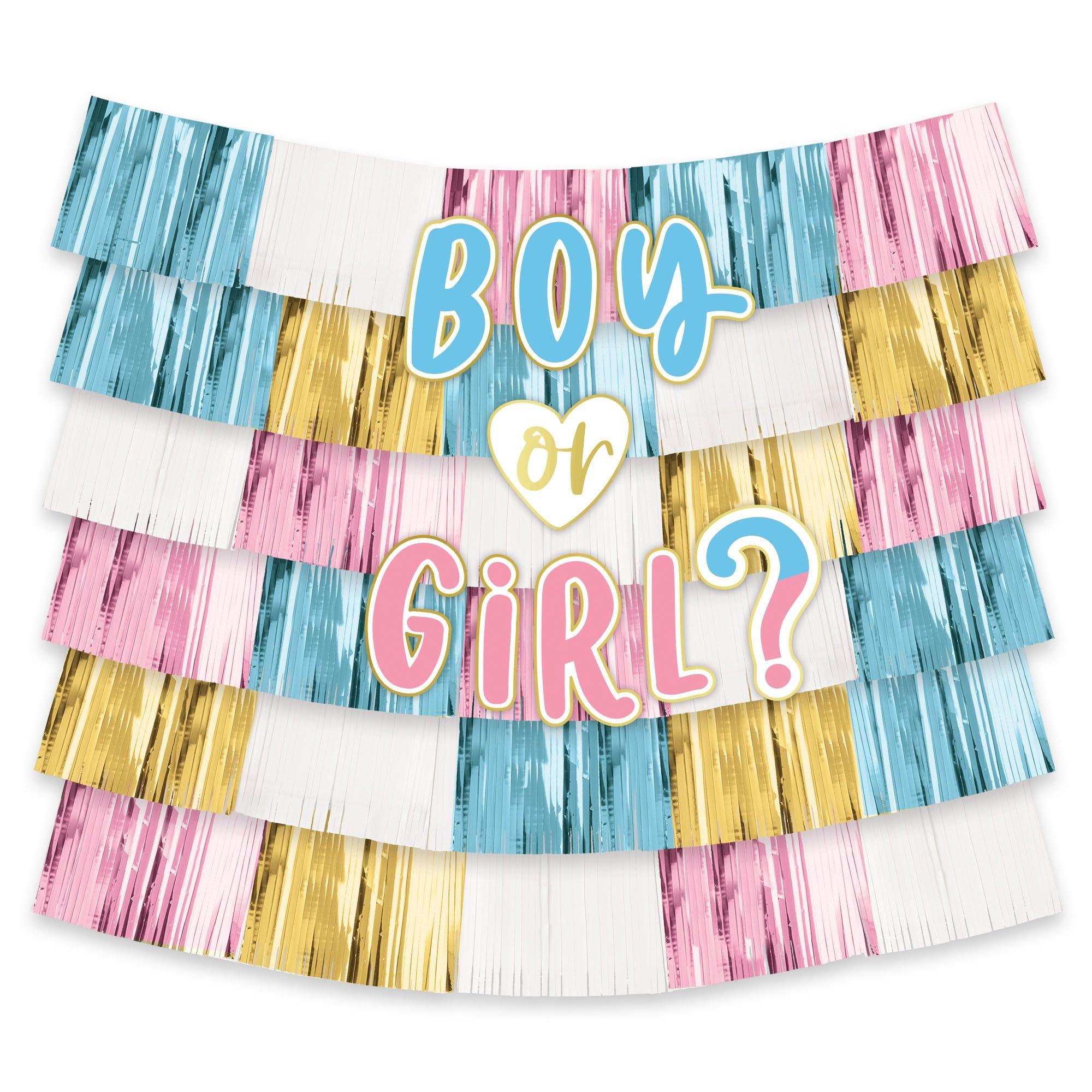 Girl or Boy, Gender Reveal Backdrop - Large, 72x40 Inches